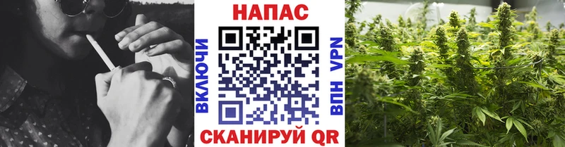 Бошки Шишки Amnesia Воронеж
